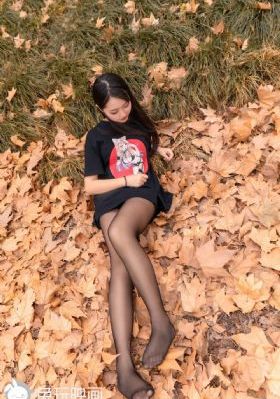 完美世界更新到第几集了