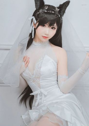 会长是女仆大人观看全集