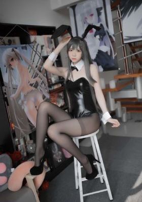 星刻的龙骑士免费观看