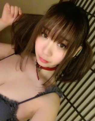 动画片小猪佩奇免费