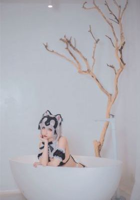 使女的故事